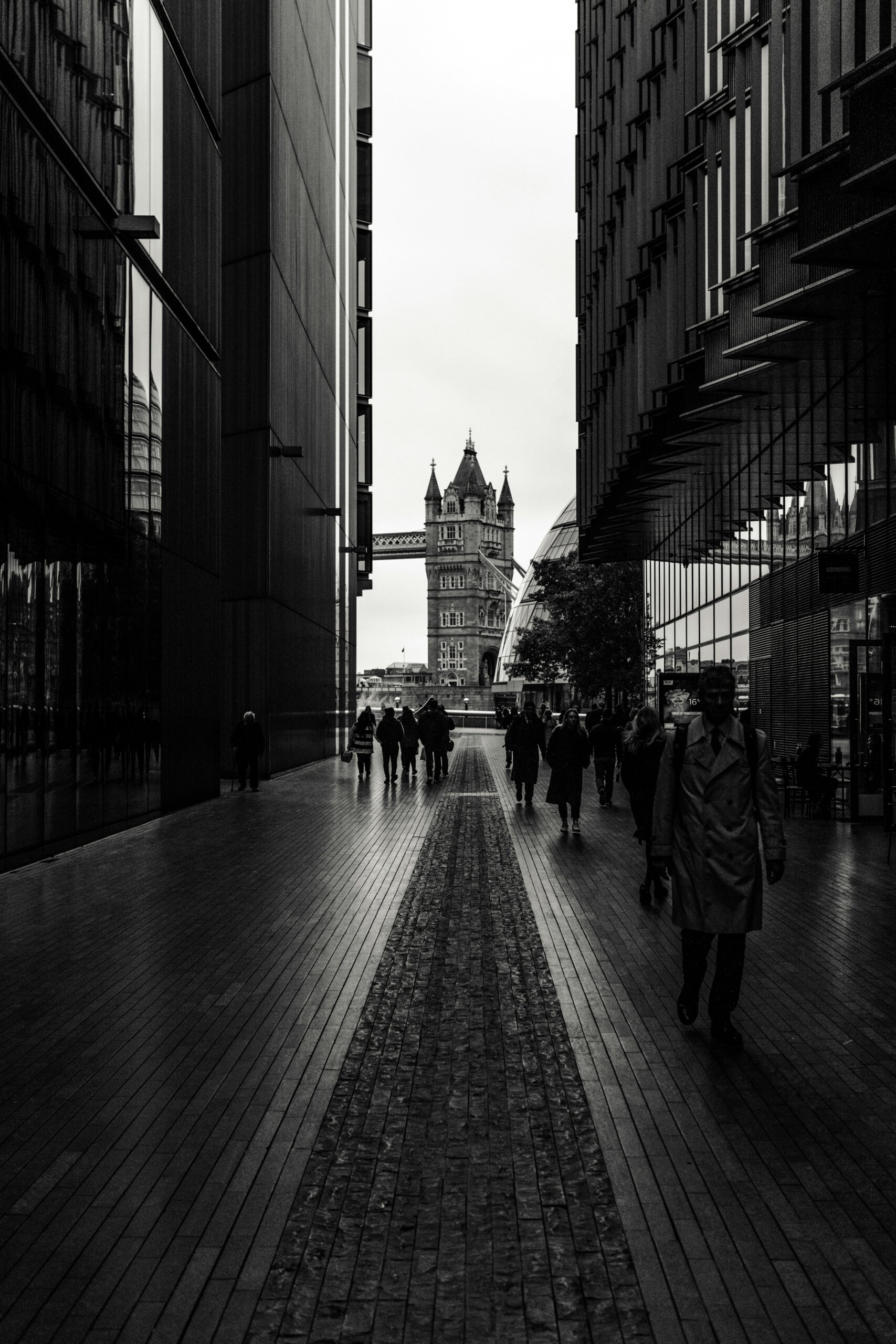 Image for Homepage